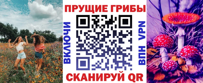 Псилоцибиновые грибы MAGIC MUSHROOMS  Пестово 
